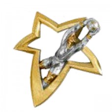 Aplique Estrela Dourada - Guarda Redes